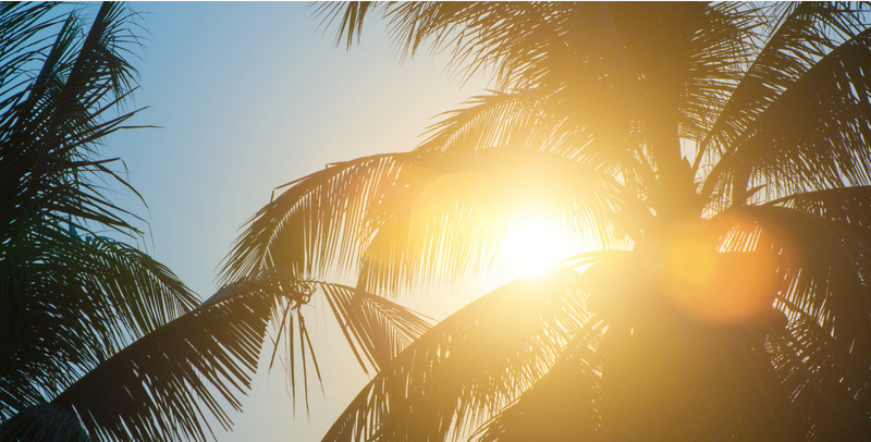 The Essential Guide to Sunscreen: Protecting Your Skin All Year Round