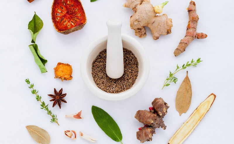 Herbs That Support Women’s Pelvic Health